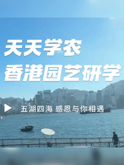 与香港园艺学会联合举办香港园艺研学，专业园境师带队讲解。